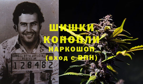 спайс Арсеньев