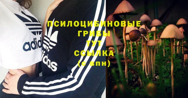 спайс Арсеньев