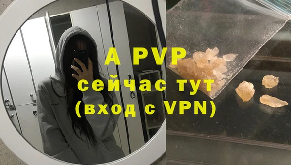 спайс Арсеньев