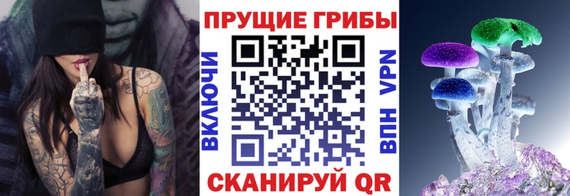 Псилоцибиновые грибы Psilocybine cubensis  Белоусово 